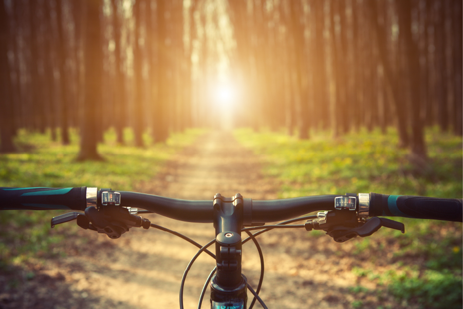 turismo rigenerativo bike tour
